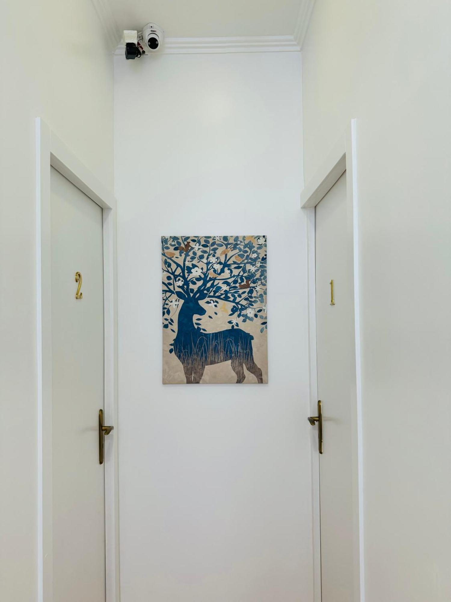 Apartamento Alfama - ליסבון מראה חיצוני תמונה